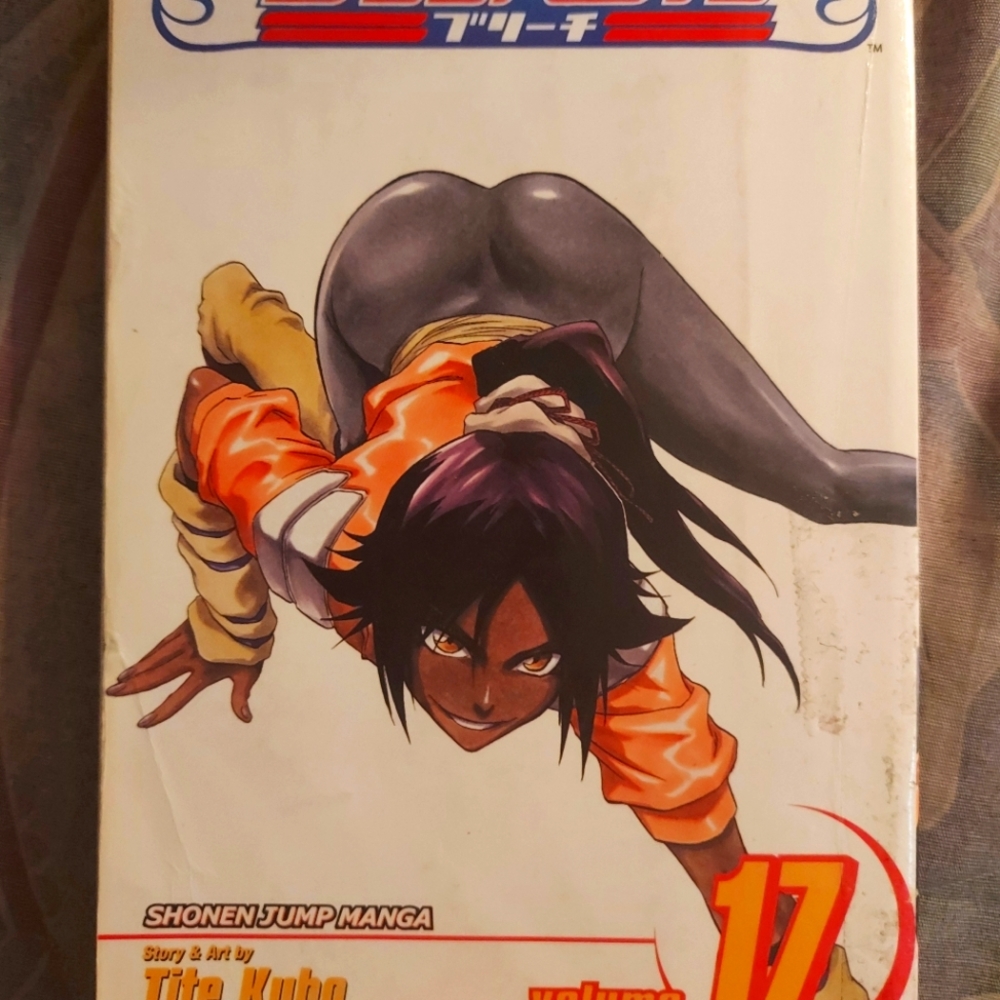 Bleach vol. 17 manga